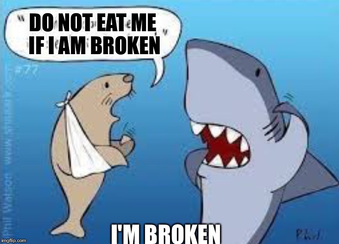 Shark | DO NOT EAT ME IF I AM BROKEN; I'M BROKEN | image tagged in funny | made w/ Imgflip meme maker