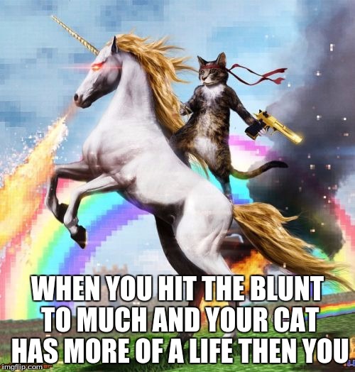 Welcome To The Internets | WHEN YOU HIT THE BLUNT TO MUCH AND YOUR CAT HAS MORE OF A LIFE THEN YOU | image tagged in memes,welcome to the internets | made w/ Imgflip meme maker