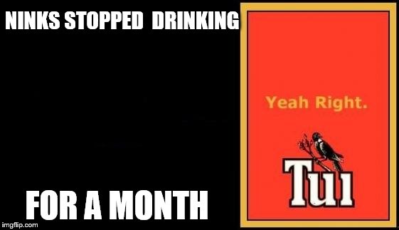 Tui | NINKS STOPPED 
DRINKING; FOR A MONTH | image tagged in tui | made w/ Imgflip meme maker