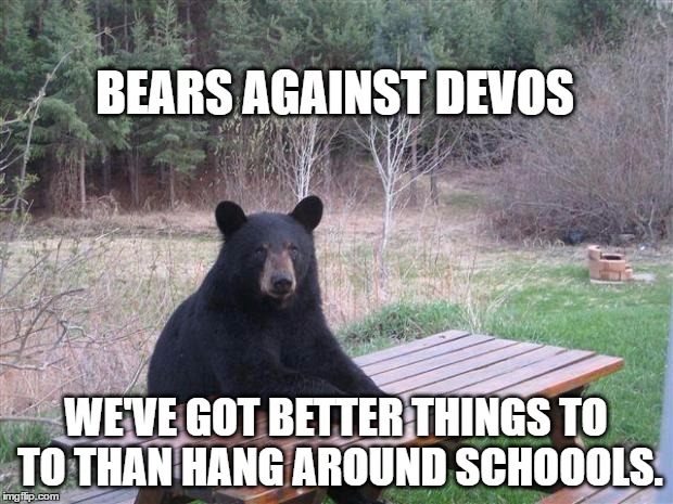 Bear of bad news | BEARS AGAINST DEVOS; WE'VE GOT BETTER THINGS TO TO THAN HANG AROUND SCHOOOLS. | image tagged in bear of bad news | made w/ Imgflip meme maker
