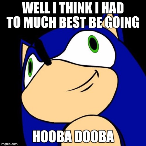 sonic needs help | WELL I THINK I HAD TO MUCH BEST BE GOING; HOOBA DOOBA | image tagged in sonic needs help,hooba dooba,sonic,forum weapon | made w/ Imgflip meme maker