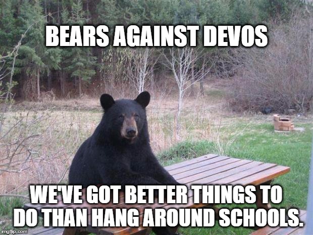 Bear of bad news | BEARS AGAINST DEVOS; WE'VE GOT BETTER THINGS TO DO THAN HANG AROUND SCHOOLS. | image tagged in bear of bad news | made w/ Imgflip meme maker