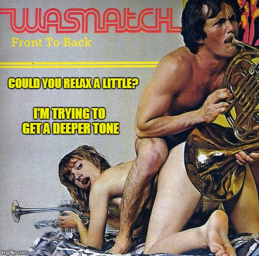 Bad Album Art Week begins! yea to shabbyrose for the idea!: NSFW all the memes! | COULD YOU RELAX A LITTLE? I'M TRYING TO GET A DEEPER TONE | image tagged in bad album art week,bad album art,memes | made w/ Imgflip meme maker