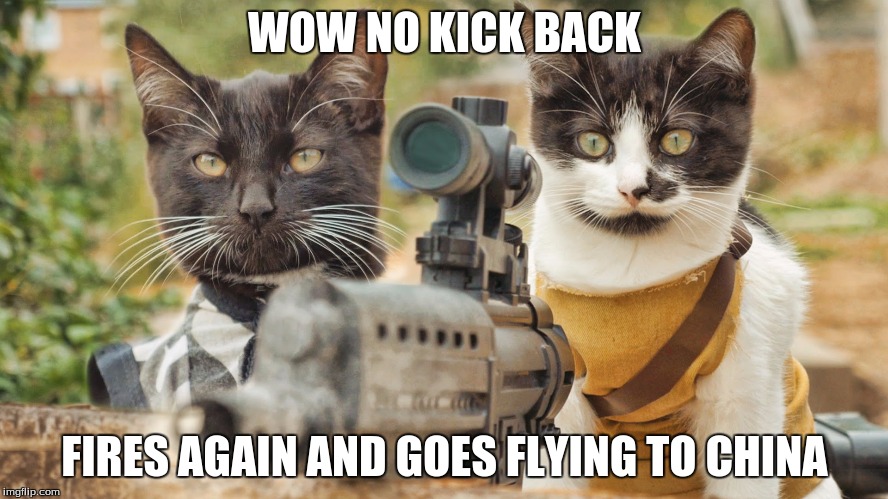 WOW NO KICK BACK; FIRES AGAIN AND GOES FLYING TO CHINA | image tagged in cats | made w/ Imgflip meme maker