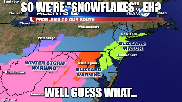 Snowflakes, eh? | SO WE'RE "SNOWFLAKES", EH? WELL GUESS WHAT... | image tagged in trump,snowflakes,notmypresident,nevertrump,resistance,theresistance | made w/ Imgflip meme maker