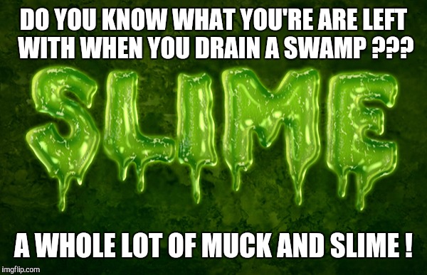 Drain the swamp? | DO YOU KNOW WHAT YOU'RE ARE LEFT WITH WHEN YOU DRAIN A SWAMP ??? A WHOLE LOT OF MUCK AND SLIME ! | image tagged in drain the swamp,mnuchin,donald trump | made w/ Imgflip meme maker