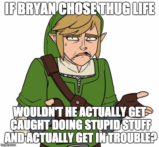 Confused Link Bigger Image | IF BRYAN CHOSE THUG LIFE WOULDN'T HE ACTUALLY GET CAUGHT DOING STUPID STUFF AND ACTUALLY GET IN TROUBLE? | image tagged in confused link bigger image | made w/ Imgflip meme maker