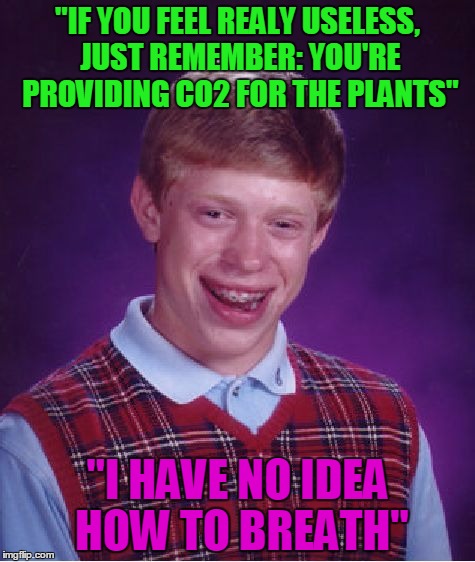 Bad Luck Brian Meme | "IF YOU FEEL REALY USELESS, JUST REMEMBER: YOU'RE PROVIDING CO2 FOR THE PLANTS"; "I HAVE NO IDEA HOW TO BREATH" | image tagged in memes,bad luck brian,asdfmovie,motivational | made w/ Imgflip meme maker