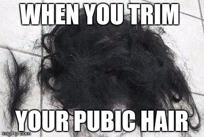 Cool Hair | WHEN YOU TRIM; YOUR PUBIC HAIR | image tagged in hair | made w/ Imgflip meme maker