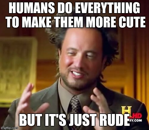 HUMANS DO EVERYTHING TO MAKE THEM MORE CUTE BUT IT'S JUST RUDE | image tagged in memes,ancient aliens | made w/ Imgflip meme maker