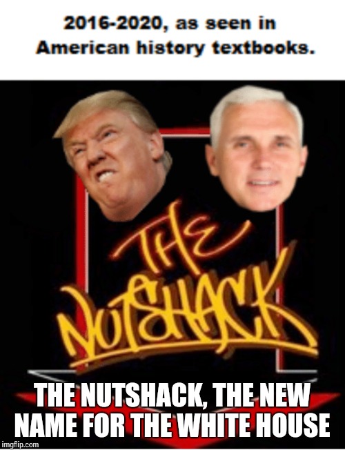 Trump & Pence Intense White House  | THE NUTSHACK, THE NEW NAME FOR THE WHITE HOUSE | image tagged in trump,pence,nutshack,white house | made w/ Imgflip meme maker