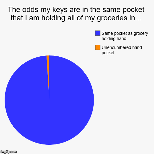 Groceries in same pocket as grocery hand | image tagged in funny,pie charts,memes,funny memes | made w/ Imgflip chart maker