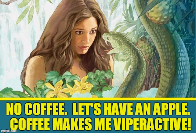Originally Eve Approached the Snake | NO COFFEE.  LET'S HAVE AN APPLE.   COFFEE MAKES ME VIPERACTIVE! | image tagged in vince vance,coffee memes,the garden of eden | made w/ Imgflip meme maker