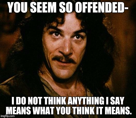 Inigo Montoya Meme | YOU SEEM SO OFFENDED-; I DO NOT THINK ANYTHING I SAY MEANS WHAT YOU THINK IT MEANS. | image tagged in memes,inigo montoya | made w/ Imgflip meme maker
