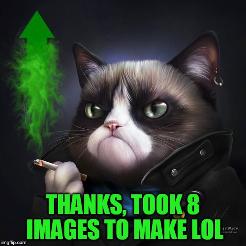 THANKS, TOOK 8 IMAGES TO MAKE LOL | made w/ Imgflip meme maker