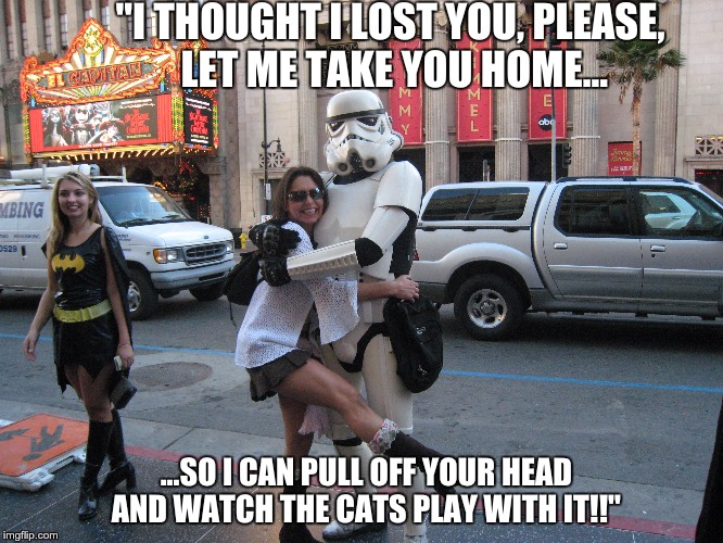 My storm trooper! | "I THOUGHT I LOST YOU, PLEASE, LET ME TAKE YOU HOME... ...SO I CAN PULL OFF YOUR HEAD AND WATCH THE CATS PLAY WITH IT!!" | image tagged in stormtrooper | made w/ Imgflip meme maker