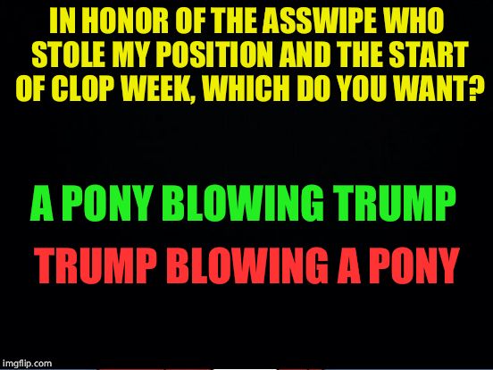 IN HONOR OF THE ASSWIPE WHO STOLE MY POSITION AND THE START OF CLOP WEEK, WHICH DO YOU WANT? A PONY BLOWING TRUMP; TRUMP BLOWING A PONY | made w/ Imgflip meme maker