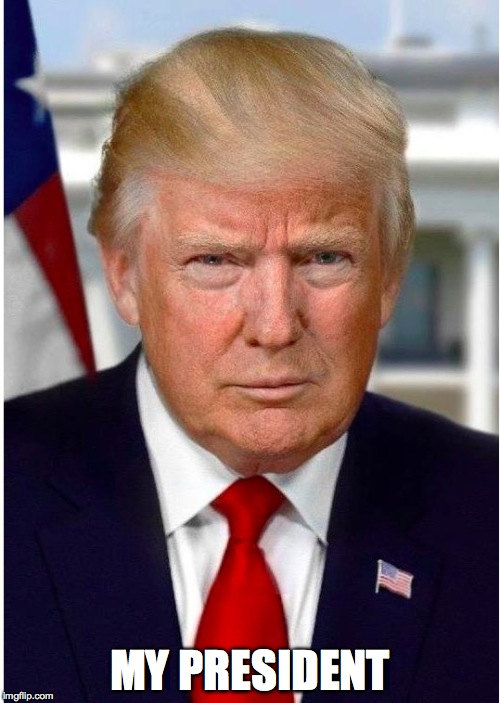 MY PRESIDENT | image tagged in thedonald | made w/ Imgflip meme maker