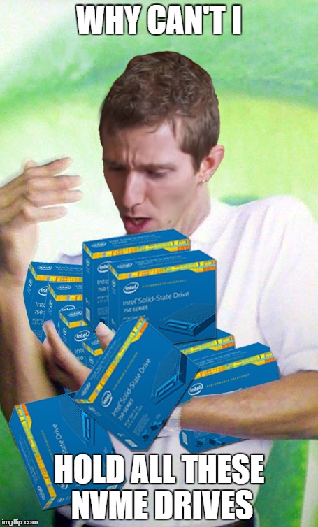 WHY CAN'T I; HOLD ALL THESE NVME DRIVES | image tagged in ltt can't hold the nvmes | made w/ Imgflip meme maker
