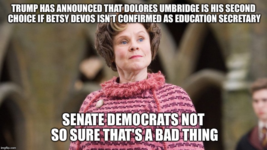 TRUMP HAS ANNOUNCED THAT DOLORES UMBRIDGE IS HIS SECOND CHOICE IF BETSY DEVOS ISN'T CONFIRMED AS EDUCATION SECRETARY; SENATE DEMOCRATS NOT SO SURE THAT'S A BAD THING | image tagged in umbridge | made w/ Imgflip meme maker