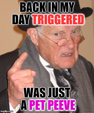 BACK IN MY DAY TRIGGERED WAS JUST A PET PEEVE TRIGGERED PET PEEVE | made w/ Imgflip meme maker