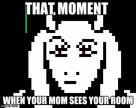 Undertale - Toriel | THAT MOMENT; WHEN YOUR MOM SEES YOUR ROOM | image tagged in undertale - toriel | made w/ Imgflip meme maker