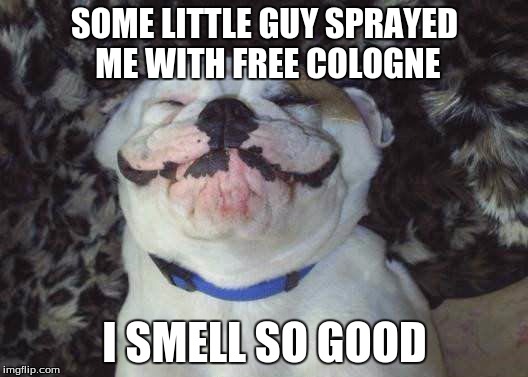 SOME LITTLE GUY SPRAYED ME WITH FREE COLOGNE I SMELL SO GOOD | made w/ Imgflip meme maker