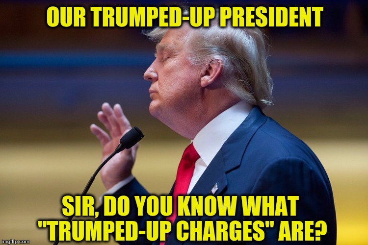 Our Trumped-Up President: FAKE | OUR TRUMPED-UP PRESIDENT; SIR, DO YOU KNOW WHAT "TRUMPED-UP CHARGES" ARE? | image tagged in trumpfake,trumped up president | made w/ Imgflip meme maker