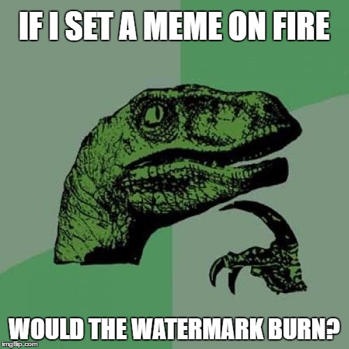 Philosoraptor Meme | IF I SET A MEME ON FIRE WOULD THE WATERMARK BURN? | image tagged in memes,philosoraptor | made w/ Imgflip meme maker