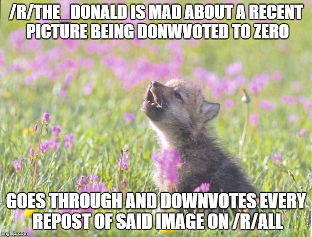 Baby Insanity Wolf Meme | /R/THE_DONALD IS MAD ABOUT A RECENT PICTURE BEING DONWVOTED TO ZERO; GOES THROUGH AND DOWNVOTES EVERY REPOST OF SAID IMAGE ON /R/ALL | image tagged in memes,baby insanity wolf | made w/ Imgflip meme maker
