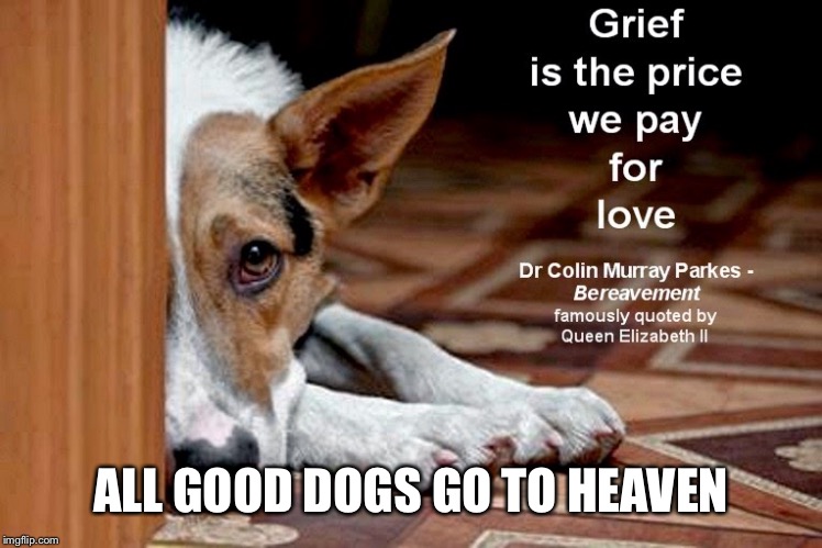 ALL GOOD DOGS GO TO HEAVEN | made w/ Imgflip meme maker