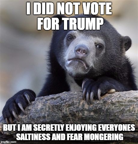 Confession Bear Meme | I DID NOT VOTE FOR TRUMP; BUT I AM SECRETLY ENJOYING EVERYONES SALTINESS AND FEAR MONGERING | image tagged in memes,confession bear,AdviceAnimals | made w/ Imgflip meme maker