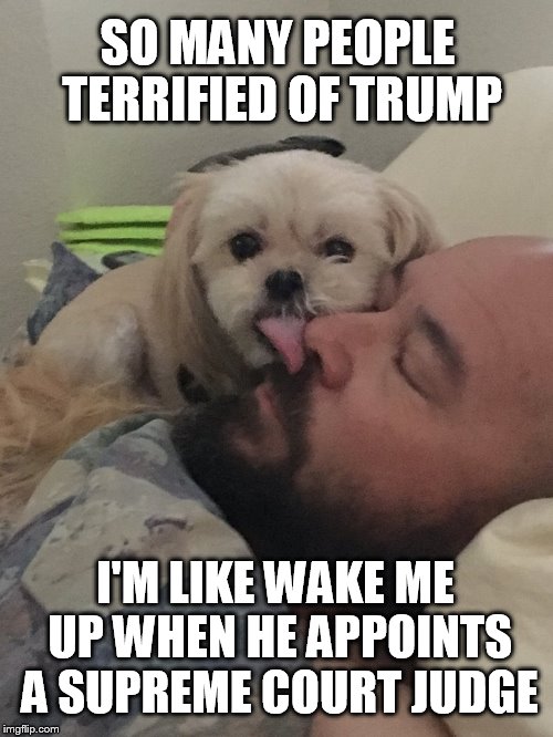 SO MANY PEOPLE TERRIFIED OF TRUMP; I'M LIKE WAKE ME UP WHEN HE APPOINTS A SUPREME COURT JUDGE | image tagged in trump,supreme court,wake me up | made w/ Imgflip meme maker