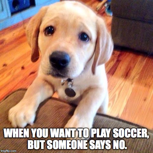 Puppy dog eyes | WHEN YOU WANT TO PLAY SOCCER, BUT SOMEONE SAYS NO. | image tagged in puppy dog eyes | made w/ Imgflip meme maker