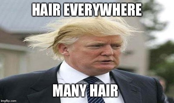HAIR EVERYWHERE MANY HAIR | made w/ Imgflip meme maker