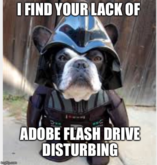 Sith dog | I FIND YOUR LACK OF ADOBE FLASH DRIVE DISTURBING | image tagged in sith dog | made w/ Imgflip meme maker