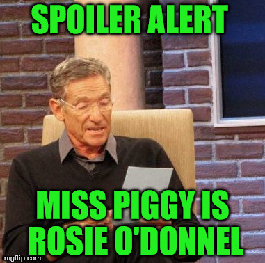 rosie o'donnel | SPOILER ALERT; MISS PIGGY IS ROSIE O'DONNEL | image tagged in memes,maury lie detector | made w/ Imgflip meme maker