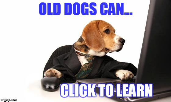 Business Dog | OLD DOGS CAN... CLICK TO LEARN | image tagged in business dog | made w/ Imgflip meme maker
