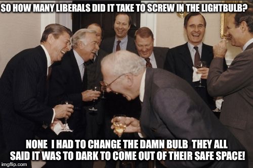 Deplorabulbs | SO HOW MANY LIBERALS DID IT TAKE TO SCREW IN THE LIGHTBULB? NONE  I HAD TO CHANGE THE DAMN BULB  THEY ALL SAID IT WAS TO DARK TO COME OUT OF THEIR SAFE SPACE! | image tagged in memes,laughing men in suits,liberals,democrats,safe space,political meme | made w/ Imgflip meme maker