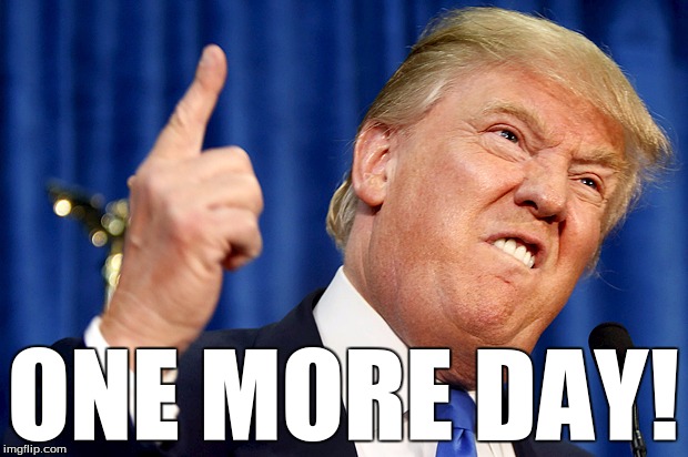 Donald Trump | ONE MORE DAY! | image tagged in donald trump the clown,alpacalypse,usa needs you | made w/ Imgflip meme maker