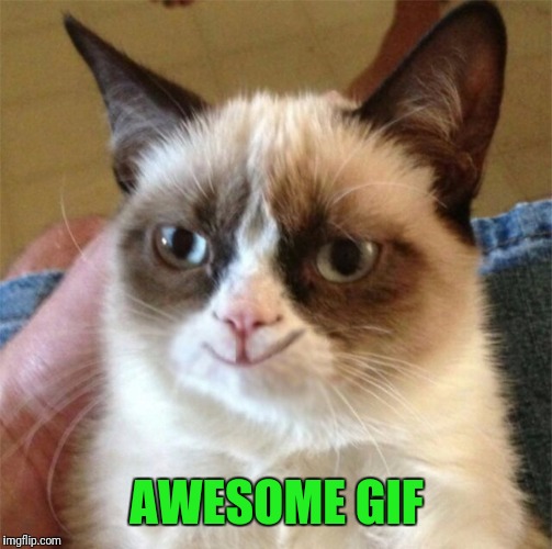 AWESOME GIF | made w/ Imgflip meme maker