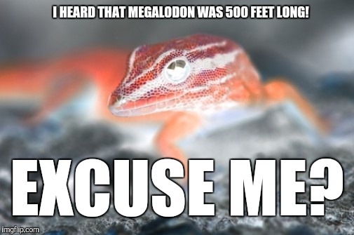 I HEARD THAT MEGALODON WAS 500 FEET LONG! EXCUSE ME? | image tagged in incorrect statement gecko | made w/ Imgflip meme maker