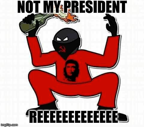NOT MY PRESIDENT; REEEEEEEEEEEEE | image tagged in trump 2016,never trump,not my president,screech | made w/ Imgflip meme maker