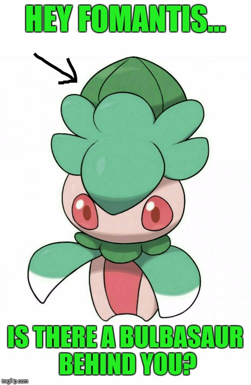 Hey Fomantis | HEY FOMANTIS... IS THERE A BULBASAUR BEHIND YOU? | image tagged in pokemon | made w/ Imgflip meme maker