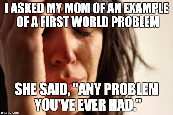 My First World Problems | I ASKED MY MOM OF AN EXAMPLE OF A FIRST WORLD PROBLEM; SHE SAID, "ANY PROBLEM YOU'VE EVER HAD." | image tagged in memes,first world problems,mom and daughter,say that again i dare you,please | made w/ Imgflip meme maker