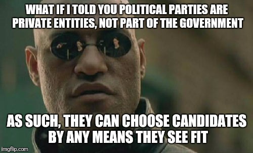 Matrix Morpheus Meme | WHAT IF I TOLD YOU POLITICAL PARTIES ARE PRIVATE ENTITIES, NOT PART OF THE GOVERNMENT AS SUCH, THEY CAN CHOOSE CANDIDATES BY ANY MEANS THEY  | image tagged in memes,matrix morpheus | made w/ Imgflip meme maker