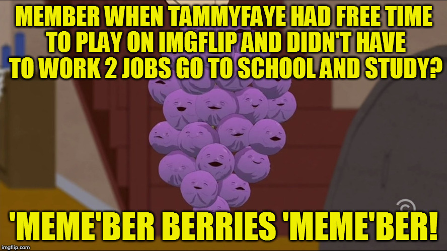 Be patient friends! Hopefully this weekend opens up some free time!!  | MEMBER WHEN TAMMYFAYE HAD FREE TIME TO PLAY ON IMGFLIP AND DIDN'T HAVE TO WORK 2 JOBS GO TO SCHOOL AND STUDY? 'MEME'BER BERRIES 'MEME'BER! | image tagged in memes,member berries | made w/ Imgflip meme maker