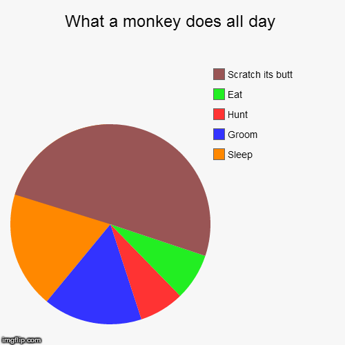 image tagged in funny,pie charts | made w/ Imgflip chart maker