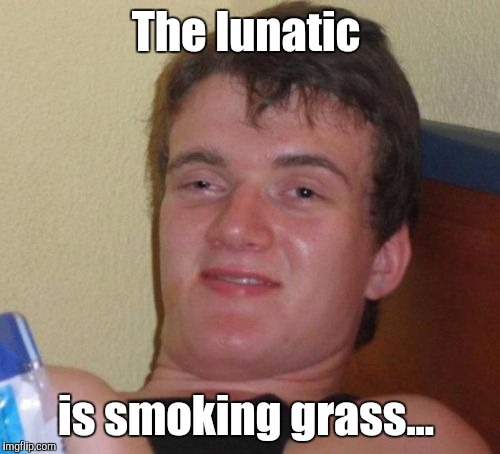 10 Guy Meme | The lunatic is smoking grass... | image tagged in memes,10 guy | made w/ Imgflip meme maker