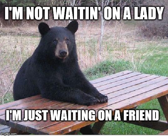 Bloke | I'M NOT WAITIN' ON A LADY; I'M JUST WAITING ON A FRIEND | image tagged in bear,lady,rolling stones,feel good | made w/ Imgflip meme maker